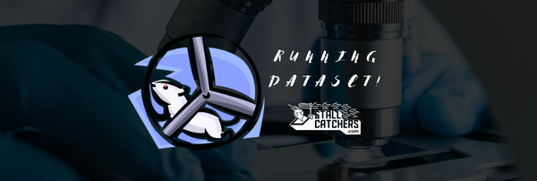 Another dataset complete in Stall Catchers - for a question you raised yourselves! 🐁