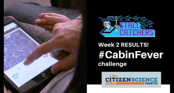 Week 2 of #CabinFever - leaderboards!