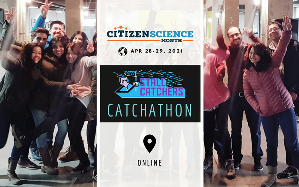 The Stall Catchers Catchathon is TODAY!